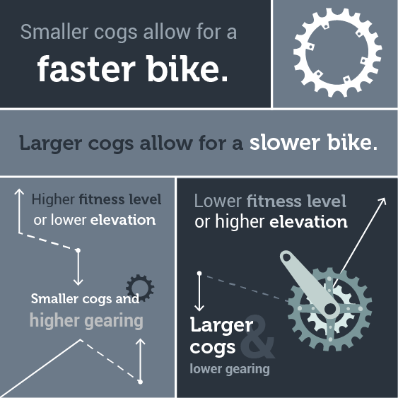 Bike store gear cog