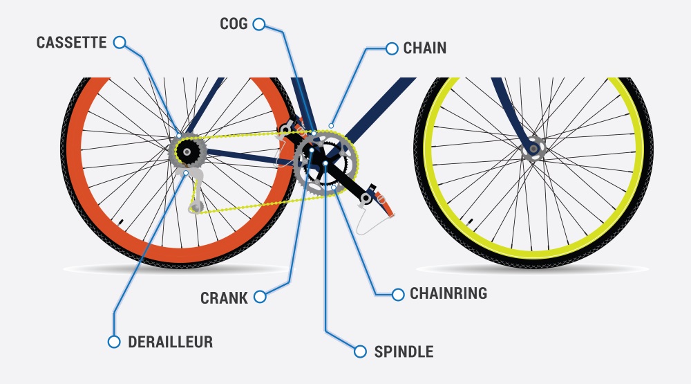 the bicycle wheel