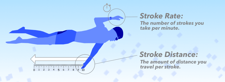 An infographic of a male swimmer that explains Stroke Distance and Stroke Rate
