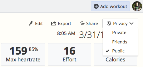 The privacy settings on the Workout Detail page of SportTracks fitness training software