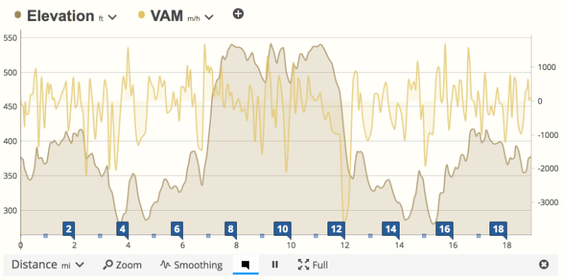 VAM data compared with elevation in SportTracks endurance sports training software