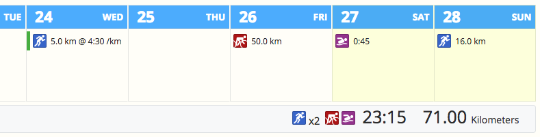 The monthly calendar view in SportTracks endurance sports training software showing planned running, swimming, and cycling workouts