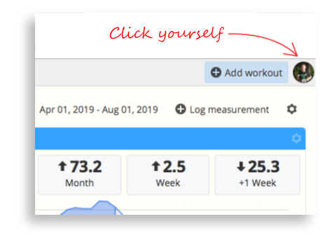 The profile section of SportTracks endurance sports training software