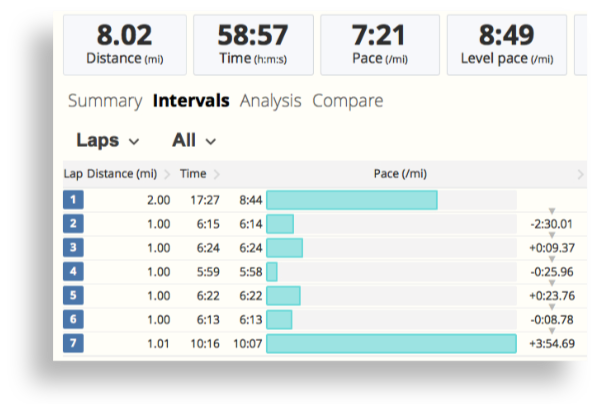 Running pace split intervals in SportTracks endurance sports software