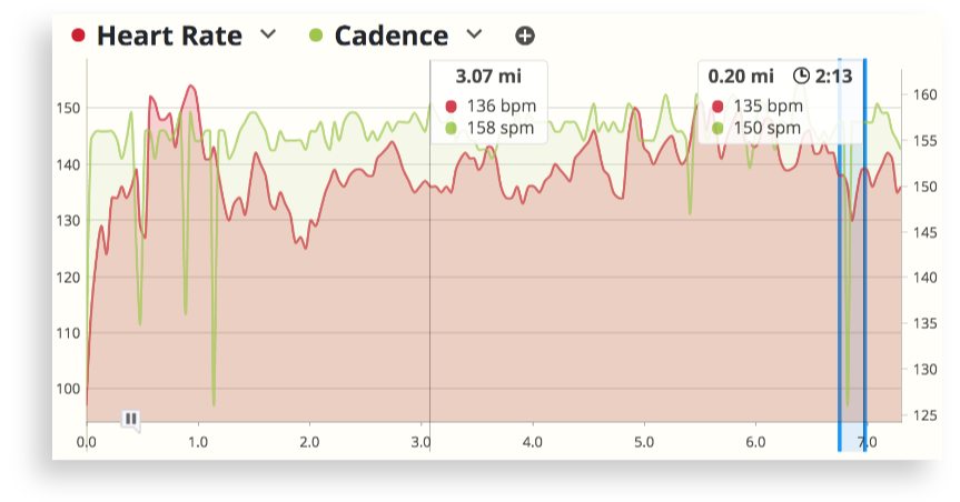 The Workout Detail chart in SportTracks endurance training software showing heart rate data compared to running cadence in a long run