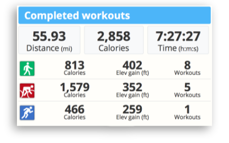 The completed workouts summary from SportTracks endurance sports training software