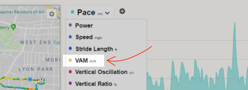 VAM data in the Workout Detail page in SportTracks endurance sports training software