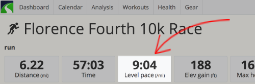 A screenshot of the Level Pace metric in SportTracks